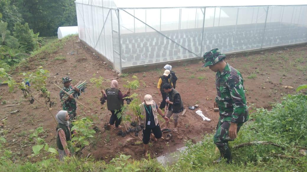 Ciptakan Lingkungan Hijau, Babinsa Bersama Mahasiswa KKN UNS Lakukan Penanaman Pohon