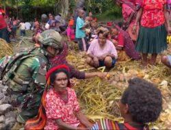 Binter TNI Dalam Ritual Bakar Batu Satgas Yonif 521/DY Bangun Komunikasi Sosial dengan Masyarakat Distrik Kurima